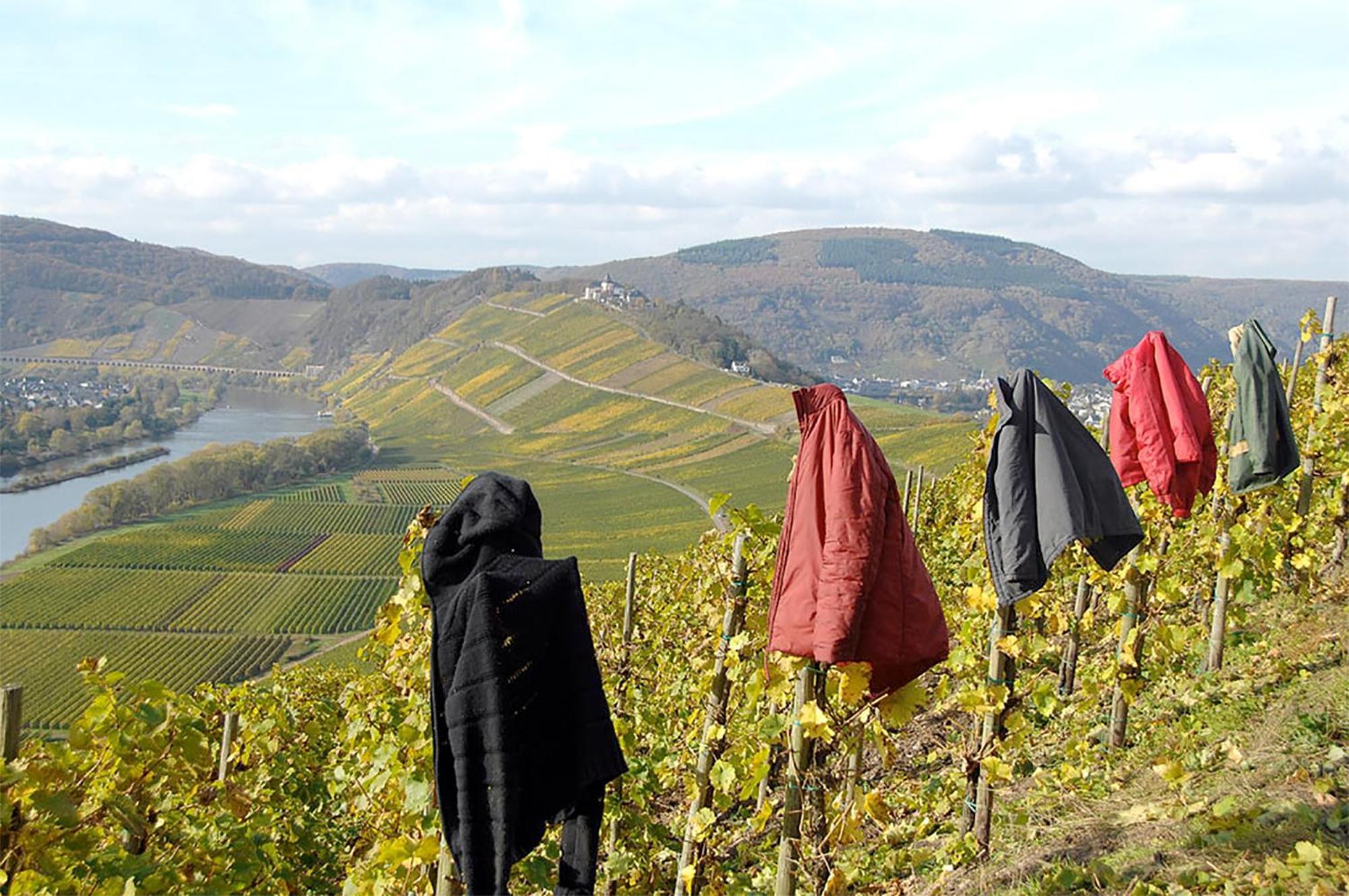 브리에델 Weingut Rosenbaum 아파트 외부 사진