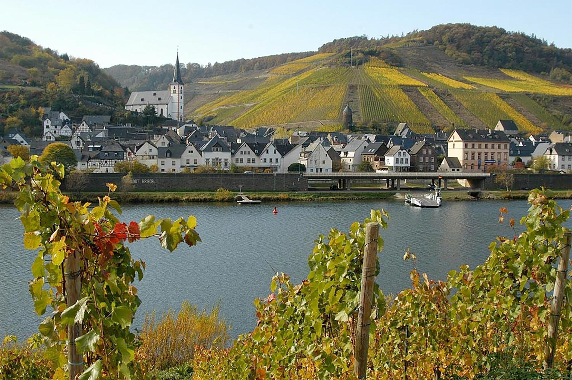 브리에델 Weingut Rosenbaum 아파트 외부 사진