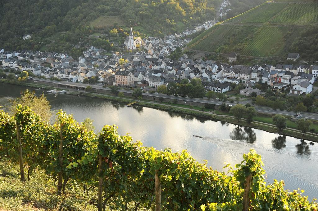 브리에델 Weingut Rosenbaum 아파트 외부 사진