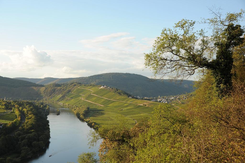 브리에델 Weingut Rosenbaum 아파트 외부 사진