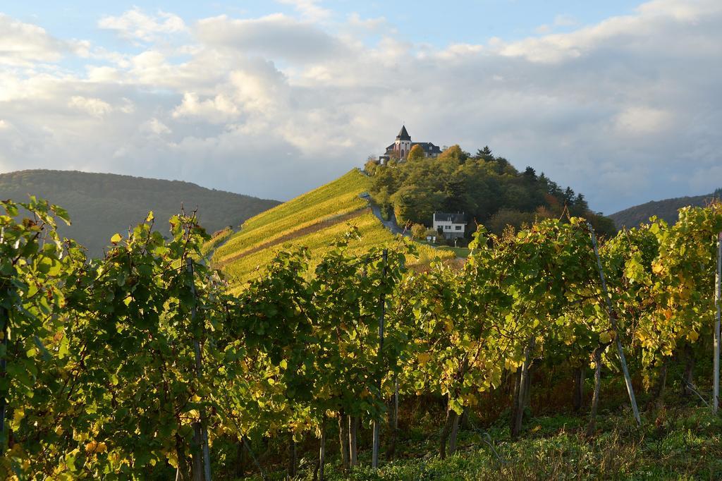 브리에델 Weingut Rosenbaum 아파트 외부 사진